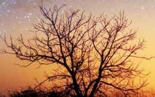 以太坊币最新价格 11日21时以太坊价格行情